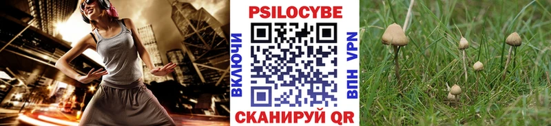 Псилоцибиновые грибы мицелий  Орск 
